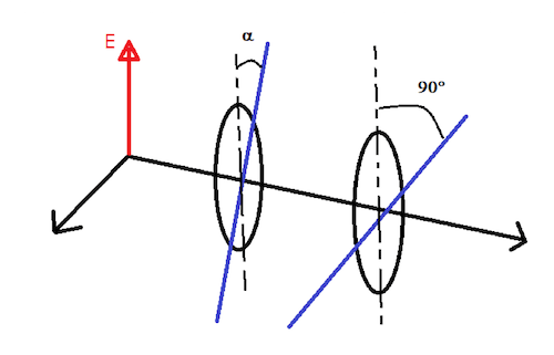 Fascio di luce polarizzata linearmente che attraversa due filtri polarizzatori